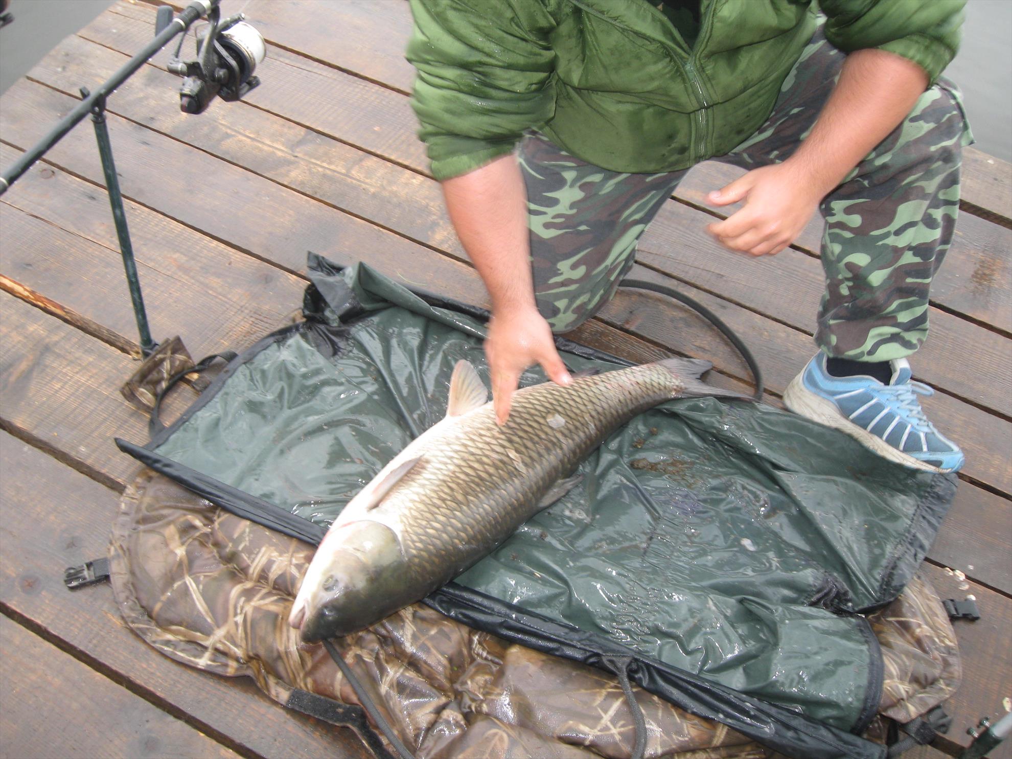 CONCURS - 6-9-mai-2010-chiroiu-046.jpg